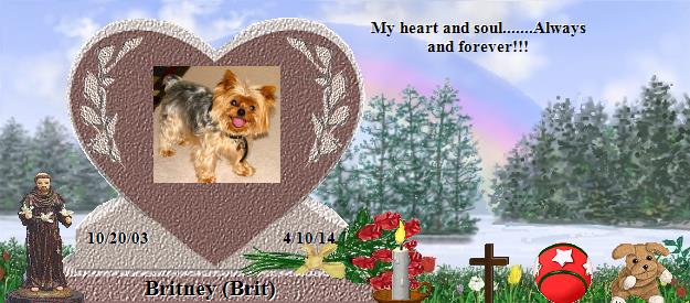 Britney (Brit)'s Rainbow Bridge Pet Loss Memorial Residency Image