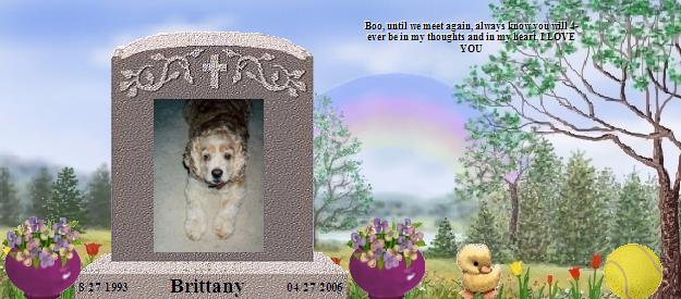 Brittany's Rainbow Bridge Pet Loss Memorial Residency Image