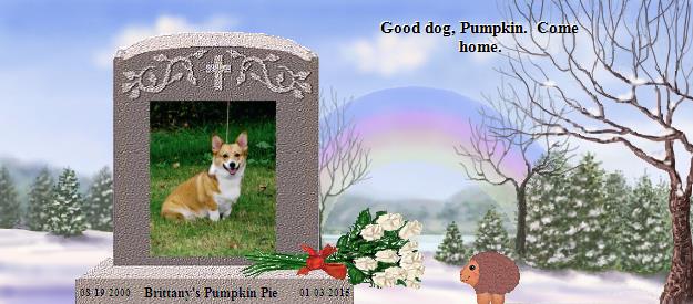 Brittany's Pumpkin Pie's Rainbow Bridge Pet Loss Memorial Residency Image