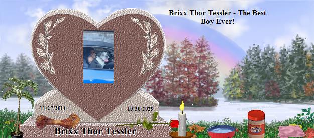 Brixx Thor Tessler's Rainbow Bridge Pet Loss Memorial Residency Image
