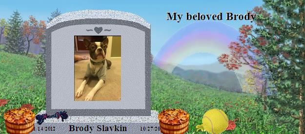 Brody Slavkin's Rainbow Bridge Pet Loss Memorial Residency Image