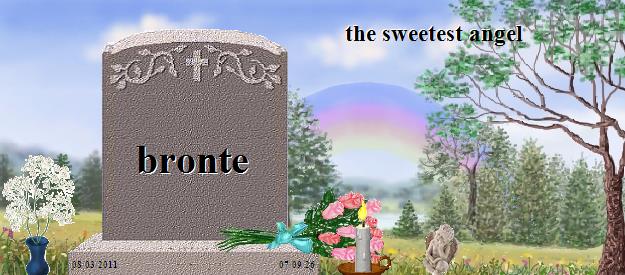 bronte's Rainbow Bridge Pet Loss Memorial Residency Image