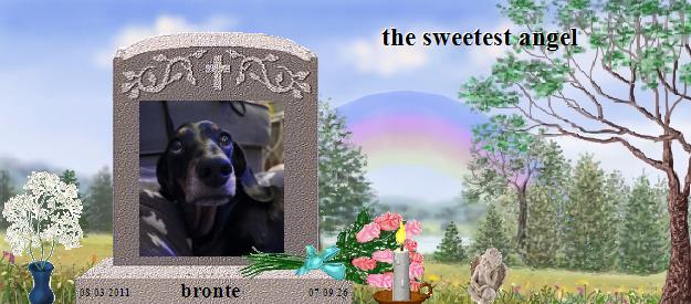 bronte's Rainbow Bridge Pet Loss Memorial Residency Image