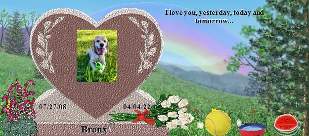 Bronx's Rainbow Bridge Pet Loss Memorial Residency Image