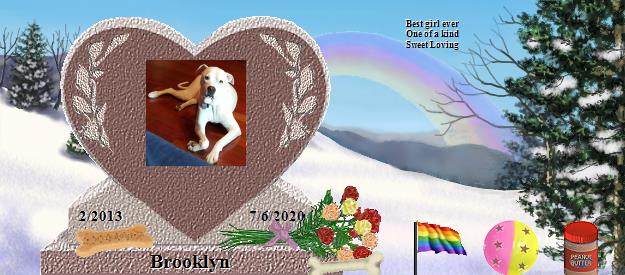 Brooklyn's Rainbow Bridge Pet Loss Memorial Residency Image