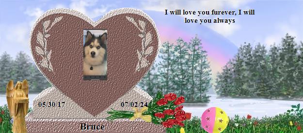 Bruce's Rainbow Bridge Pet Loss Memorial Residency Image