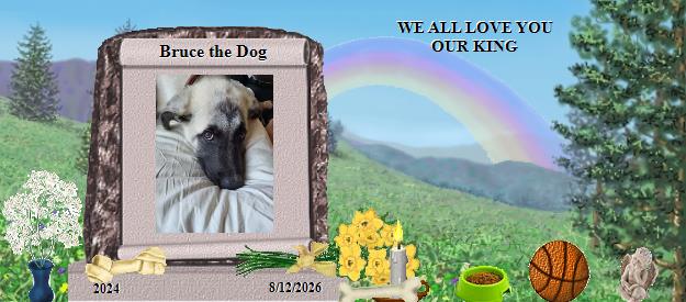 Bruce the Dog's Rainbow Bridge Pet Loss Memorial Residency Image
