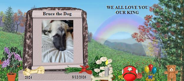 Bruce the Dog's Rainbow Bridge Pet Loss Memorial Residency Image