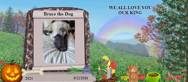 Bruce the Dog's Rainbow Bridge Pet Loss Memorial Residency Image