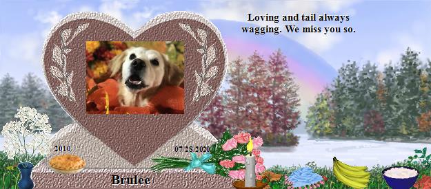 Brulee's Rainbow Bridge Pet Loss Memorial Residency Image