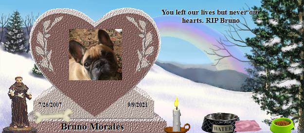 Bruno Morales's Rainbow Bridge Pet Loss Memorial Residency Image