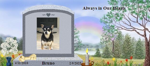 Bruno's Rainbow Bridge Pet Loss Memorial Residency Image