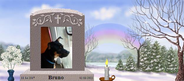 Bruno's Rainbow Bridge Pet Loss Memorial Residency Image