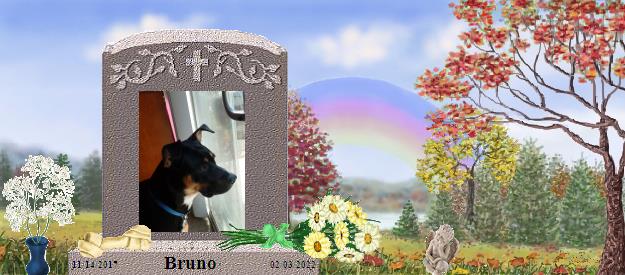 Bruno's Rainbow Bridge Pet Loss Memorial Residency Image