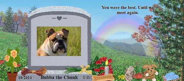 Bubba the Chunk's Rainbow Bridge Pet Loss Memorial Residency Image