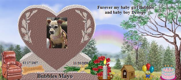 Bubbles Mayo's Rainbow Bridge Pet Loss Memorial Residency Image