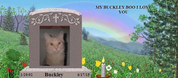 Buckley's Rainbow Bridge Pet Loss Memorial Residency Image