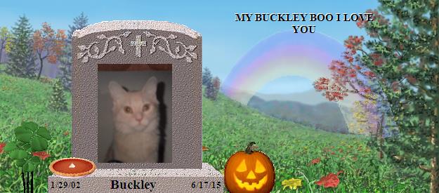 Buckley's Rainbow Bridge Pet Loss Memorial Residency Image
