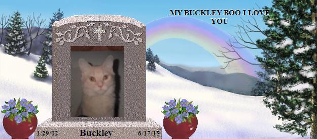 Buckley's Rainbow Bridge Pet Loss Memorial Residency Image