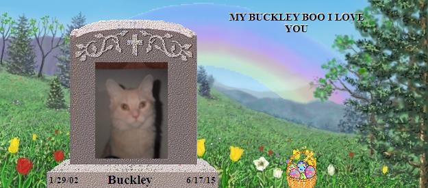 Buckley's Rainbow Bridge Pet Loss Memorial Residency Image