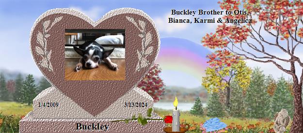 Buckley's Rainbow Bridge Pet Loss Memorial Residency Image