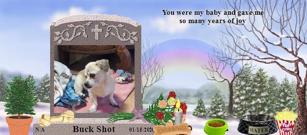Buck Shot's Rainbow Bridge Pet Loss Memorial Residency Image