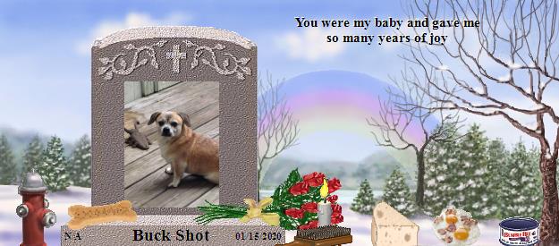 Buck Shot's Rainbow Bridge Pet Loss Memorial Residency Image