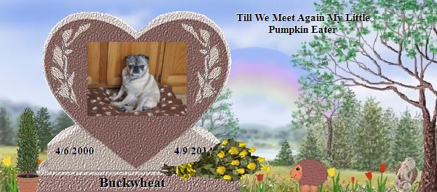 Buckwheat's Rainbow Bridge Pet Loss Memorial Residency Image