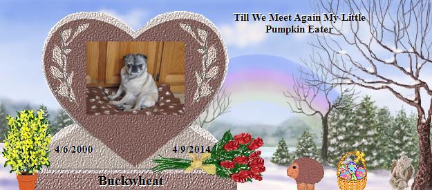 Buckwheat's Rainbow Bridge Pet Loss Memorial Residency Image