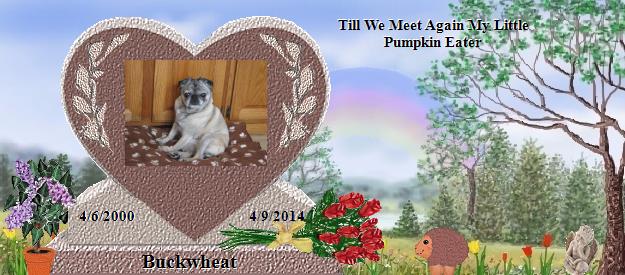 Buckwheat's Rainbow Bridge Pet Loss Memorial Residency Image