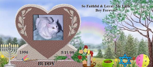 BUDDY's Rainbow Bridge Pet Loss Memorial Residency Image