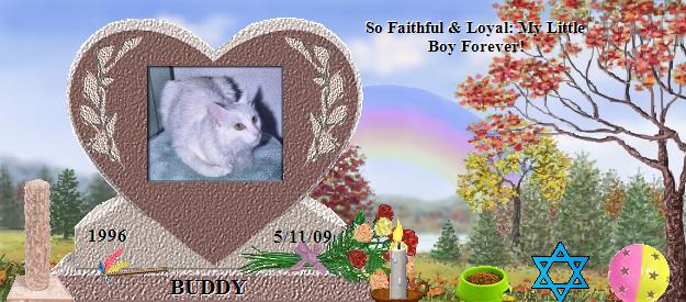 BUDDY's Rainbow Bridge Pet Loss Memorial Residency Image