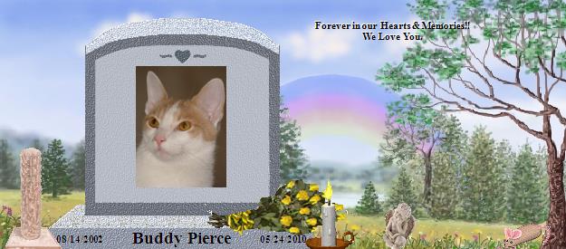 Buddy Pierce's Rainbow Bridge Pet Loss Memorial Residency Image