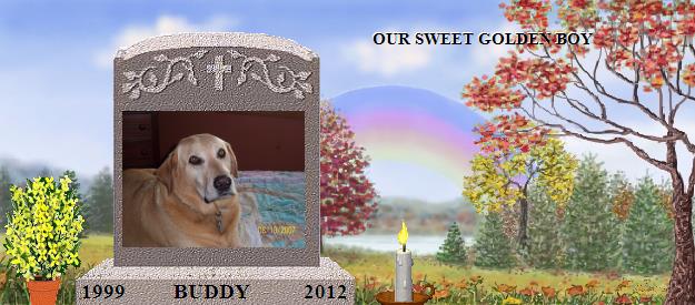 BUDDY's Rainbow Bridge Pet Loss Memorial Residency Image