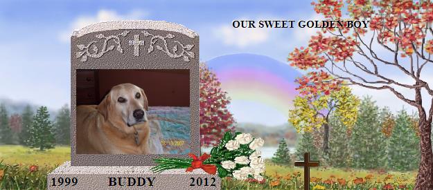 BUDDY's Rainbow Bridge Pet Loss Memorial Residency Image