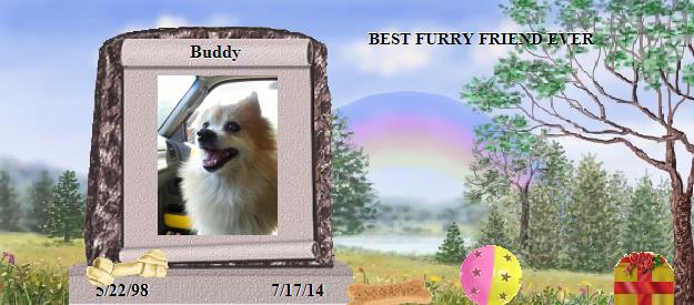 Buddy's Rainbow Bridge Pet Loss Memorial Residency Image