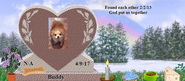 Buddy's Rainbow Bridge Pet Loss Memorial Residency Image