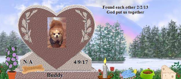 Buddy's Rainbow Bridge Pet Loss Memorial Residency Image