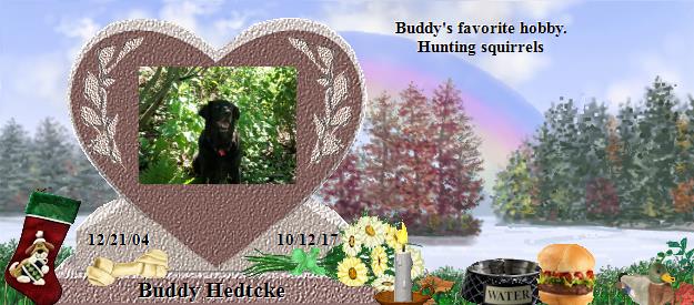 Buddy Hedtcke's Rainbow Bridge Pet Loss Memorial Residency Image