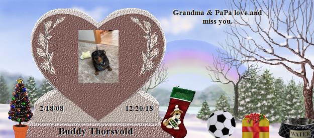 Buddy Thorsvold's Rainbow Bridge Pet Loss Memorial Residency Image