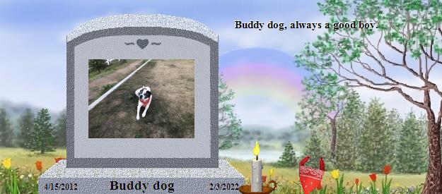 Buddy dog's Rainbow Bridge Pet Loss Memorial Residency Image