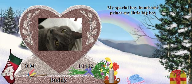 Buddy's Rainbow Bridge Pet Loss Memorial Residency Image