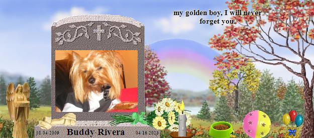 Buddy Rivera's Rainbow Bridge Pet Loss Memorial Residency Image