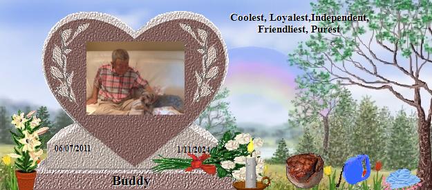 Buddy's Rainbow Bridge Pet Loss Memorial Residency Image