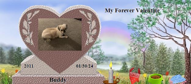Buddy's Rainbow Bridge Pet Loss Memorial Residency Image