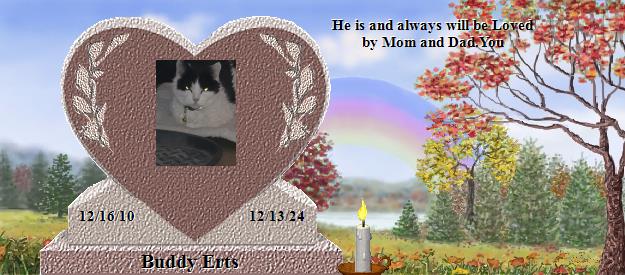 Buddy Erts's Rainbow Bridge Pet Loss Memorial Residency Image