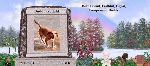 Buddy Gudahl's Rainbow Bridge Pet Loss Memorial Residency Image