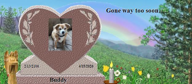 Buddy's Rainbow Bridge Pet Loss Memorial Residency Image