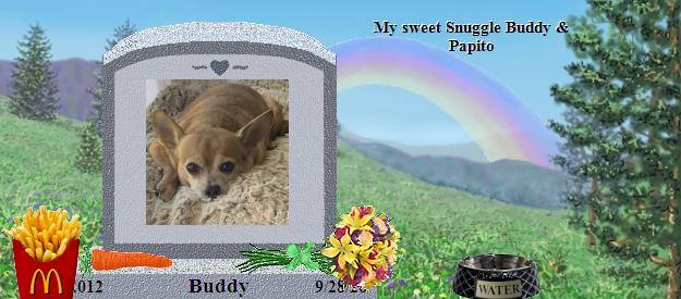 Buddy's Rainbow Bridge Pet Loss Memorial Residency Image
