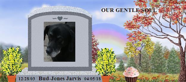 Bud-Jones Jarvis's Rainbow Bridge Pet Loss Memorial Residency Image